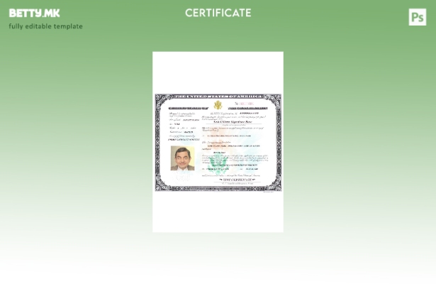 Модерен стил САД сертификат за натурализација шаблон